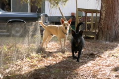 Looking very fierce with her brother.