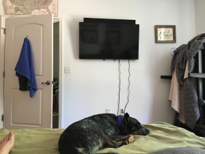 The new TV, Nickel played so much he was recharging :)