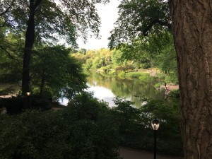 Central Park.